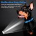 PCOTLLAR Reflective Dog Collar - Padded Neoprene Adjustable Collars for Small & Large Dogs - Soft Blue (50-60cm) - Buy Online on GoSupps.com