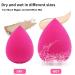 2 PCS Air Cushion CC Cream Nature Foundation Set with Brushes - Long Lasting Moisturizing Concealer for Bright Makeup Base - Includes Mushroom Makeup Sponge - Natural Finish - Buy Online on GoSupps.com