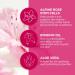 Andalou Naturals 1000 Roses Instant Soothe & Smooth Sheet Mask - Pack of 6 0.6 oz | Hydrating Face Masks for All Skin Types | International Shipping Available - Buy Online on GoSupps.com