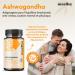 Ashwagandha Ayurveda | Concentrated extract 8% in Withanolides | 60 capsules | 100% natural supplement - Buy Online on GoSupps.com