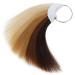 RINBOOOL Hair Swatches for Testing Hair Color  6 Different Levels  Sample Kit for Salon 100% Natural Remy Human Hair  8 Inch 30 Pieces per Pack 8 Inch (Pack of 1) 6 Levels