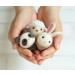 Hamanaka Small Friends Needle Felting Kit - Panda, Sheep, Rabbit | H441-481 - Buy Online on GoSupps.com