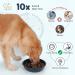 PETTOM Ceramic Slow Feeder Dog Bowl - Prevent Choking, Puzzle Feeder for Large Dogs - Navy Blue - Buy Online on GoSupps.com