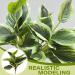 2 Bouquets Artificial Hostas 17.71in Tall Realistic Fake Dieffenbachia with 14 Leaves Low-Maintenance Indoor Aesthetic Artificial Greenery for Wedding Garden Home Office Decor Fake Plants - Buy Online on GoSupps.com