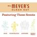 MRS. MEYER'S CLEAN DAY Foaming Hand Soap - Oat Blossom - 10 Fl Oz - Aloe Vera - Pack of 1 - Buy Online on GoSupps.com