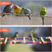 Natural Wood 10-Ladder Bird Ladder Bridge Set for Small Birds - Swing and Climbing Toys for Parakeet, Cockatiel, Finch, Lovebird, and more - Buy Online on GoSupps.com