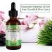 Rosemary Essential Oil for Hair Growth & Skin Care - 60 mL (Pack of 1) - Buy Online on GoSupps.com