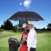 MRTLLOA 62 Inch Automatic Open Golf Umbrella - Windproof Waterproof Stick Umbrella for Rain - Buy Online on GoSupps.com