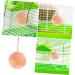 BESPORTBLE 2pcs Pet Saline Small Mineral Salt Block Rabbit Salt Licking Pet Supplies Mineral Saline Pink - Buy Online on GoSupps.com