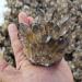 for Natural Smokey Quartz Tea Crystal Cluster Stones Crystal Point Specimen Home Decoration Raw Crystals Gemstones and Crystal dingchi FUZEGRDLI (Size : 300-400g)