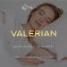 Organic Valerian Root Extract 2 Fl Oz - Natural Sleep Aid, Stress & Anxiety Supplement - Made in USA - Non GMO Valerian Tincture - Buy Online on GoSupps.com