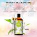 PHATOIL White Musk Fragrance Oils 3.38FL.OZ Large Volume White Musk Oil Perfect for Aromatherapy Diffuser Great for DIY Candle and Scented Products Making Gift for Friends with Glass Dropper - Buy Online on GoSupps.com