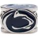 Penn State University Charm for Women | Navy Lion Logo Bead Charm | Nittany Lions Jewelry | Perfect Gift for Fans, Students, Alumni - Buy Online on GoSupps.com