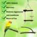 10-Piece Natural Bird Accessories for Budgies Canaries & Lovebirds - Gionar Climbing Grinding & Standing Cage Toys - Buy Online on GoSupps.com