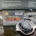 Buy Diosa Hebe Activated Charcoal Soap - Natural Detox Cleanser | Best International Shipping - Buy Online on GoSupps.com