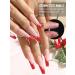 EBANKU 120 PCS Clear Dual Nail Forms System Flat Coffin Nail Mold Tips Acrylic Stiletto Nail Extension Tools for Nail Art Salon Nails Design - Buy Online on GoSupps.com