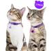 Taglory Reflective Cat Collar with Safety Clasp & Bell - Adjustable 2-Pack for Kittens & Cats (19-32cm Purple) - Safe & Stylish - Buy Online on GoSupps.com