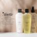 Aloette Skin Refining Toner - Deep Cleansing Hydrating Facial Toner for Normal to Combination Skin - Rejuvenates & Revitalizes - 8 Fl Oz - Shop Internationally - Buy Online on GoSupps.com