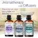 Natural Riches Tranquility Serenity Essential Oil Blends Set - Calm Sleep, Headache Relief - 3 x 10ml - Buy Online on GoSupps.com