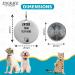 EIO Personalised 21mm Round Stainless Steel Pet Tag - Custom Deep Engraved Dog Collar Tag for Scratch Resistance - Personalize with Your Text - Buy Online on GoSupps.com