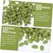 HOMSFOU 2 Packs Simulated Green Beans Artificial Vegetables Props Faux Soybean Simulated Bean Model Dollhouse Food Miniature Gourmet Nuts Photo Props Food Play Pvc Accessories Greenx2pcs 1.6X1CMx2pcs - Buy Online on GoSupps.com