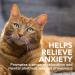 Vet's Best Comfort Calm Calming Cat Supplement - Promotes Relaxation and Balanced Behaviour 100g - Buy Online on GoSupps.com