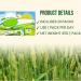SBG Poudre d'herbe d'orge poudre d'herbe d'orge poudre de jus d'orge 100 % pure et biologique poudre de jus d'herbe d'orge biologique boostez votre sant naturellement (1 bo te) 1 Bo te. - Buy Online on GoSupps.com
