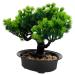 Zerodeko Artificial Pine Potted Plant Mini Fake Potted Plant Office