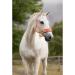 LeMieux Vogue Headcollar & Leadrope - Fern Apricot Pony - Buy Online on GoSupps.com