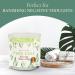 Magnificent 101 Aromatherapy Candles - Pure Sage 14 oz Soy Wax | 56 Hours Burn Time | Natural Energy Cleansing & Manifestation - Buy Online on GoSupps.com
