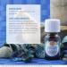 Good Sleep Blend Essential Oil - 10ml | 100% Pure Therapeutic Grade for Deep Sleep - Buy Online on GoSupps.com