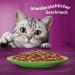 Whiskas 1+ Cat Food Lamb in Jelly | 28x85g - Premium Wet Food for Adult Cats | 2.38kg Pack - Shop Now! - Buy Online on GoSupps.com
