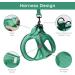 Buy Bella & Pal Dog Harness for Small Dogs - Reflective Breathable and Comfortable | Includes Leash & Step-In Dishes | Perfect for Puppies and Cats - Emerald (42-50cm) - Buy Online on GoSupps.com