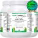 VitaHemp+ Power Blend Workout Drink |Vegan Hemp Seed Protein Shake Powder with Phyto-nutrients Essential Amino Acids Vitamin C & Fibre. Appetite Suppressant Reduces Bloating & Flatulence - Buy Online on GoSupps.com