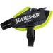 Shop IDC Powerharness 2XS/Baby 2 - Neon Edge Decoration Jeans for Kids | International Shipping Available - Buy Online on GoSupps.com
