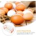 GLEAVI 2pcs Box Egg Carton Eggs Egg Holder Plastic Container Egg Storage Case Side Door Crisper re-usable - Buy Online on GoSupps.com
