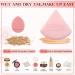 12-Piece Mini Triangle Makeup Puff Set for Setting Mineral Loose Powder (Pink Nude) - Buy Online on GoSupps.com