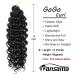 Dansama GoGo Curl Crochet Braids - 14 Beach Wave Synthetic Hair Extensions (Pack of 6) #1B - Buy Online on GoSupps.com