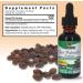 Nature's Answer Alcohol Free Saw Palmetto Berry 1 Fluid Ounce ( 2 Pack ) | Prostate Support | Natural Urinary Health | Promotes Hair Growth - Buy Online on GoSupps.com