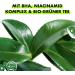 Sante Naturkosmetik SANTE Naturkosmetik Pore Control BHA Micro-Exfoliating Mask with Mattifying Organic Green Tea BHA Complex and Niacinamide Vegan Mask for Combination Skin Pore-Refining Facial Cleanser 8 ml - Buy Online on GoSupps.com