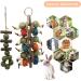 Shop Runfar: Premium Rabbit & Hamster Toys | Molar Sticks Grass Balls Bamboo Branches & More - Buy Online on GoSupps.com