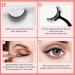 SAOTAENG Reusable Self Adhesive Natural Look Eyelashes - No Eyeliner or Glue Needed - Easy to Apply - 5 Pairs - Buy Online on GoSupps.com