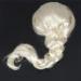 Wresetly Beautiful Wig light gold Braid Up - Buy Online on GoSupps.com