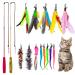 Meydll 15 pieces of cat toys interactive cat toys with springs 2 retractable cat toys 1 pink fish 2 plush toys 5 springs and 5 worms cat toys for kitten