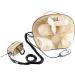 Newgen Medicals Shiatsu Massage Pillow - Neck & Shoulder Massager for Relaxation | International Shipping Available - Buy Online on GoSupps.com