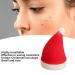 Buy Super Soft Makeup Sponges - Christmas Hat Design for Wet & Dry Blending | Best Cosmetic Sponges Online - Buy Online on GoSupps.com