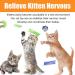 12 Pcs Cat Toys for Indoor Cats Kitten Plush Catnip Toy Cat Teeth Cleaning Toys Interactive Cat Feather Teaser Wand Spring Toy 12Pcs - Buy Online on GoSupps.com