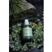 Buy Re:NK Refresh Dragon-Peptide Moisturizing Serum for Sensitive Skin | 30mL - International Shipping Available - Buy Online on GoSupps.com