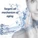 PureHA Advanced Formula 1 litre - Natural health supplement to promote healthy skin hair nails and joints - Buy Online on GoSupps.com