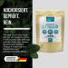 aminopure | Pure Tyrosine Powder | Pure L-Tyrosine Without Additives | Fermentation From Corn (Non-GMO) | 100% Vegan & Lab Tested | 250g - Buy Online on GoSupps.com